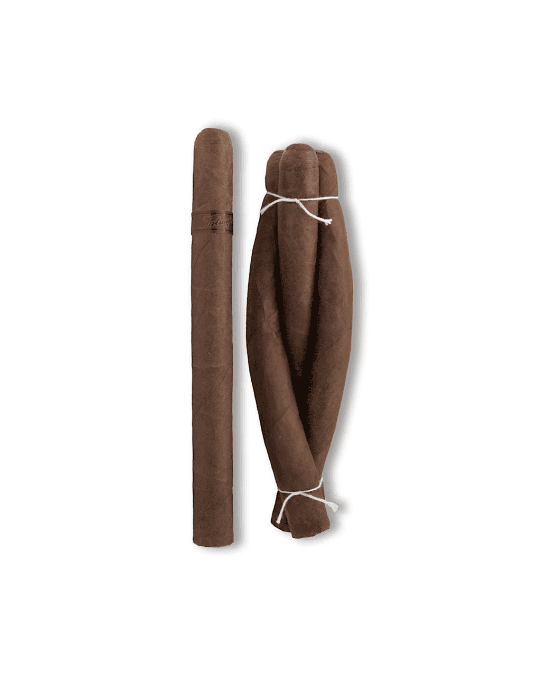 Tatuaje Cigars Old Man and the C Monster. Single lonsdale cigar pictured aside a culebra - 3 single cigars twisted together