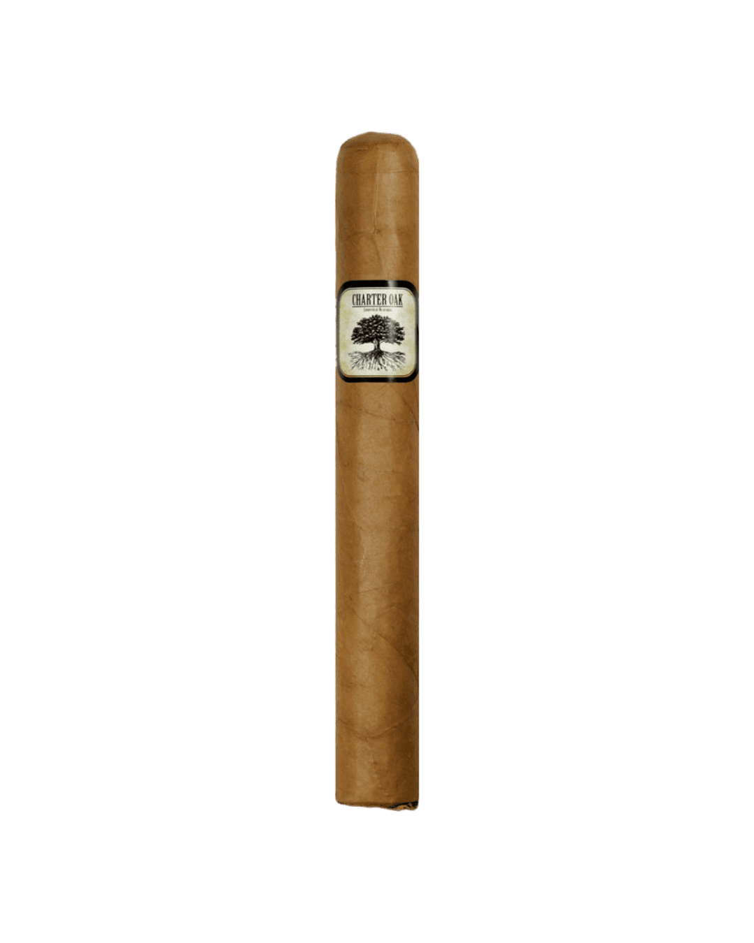 Single Charter Oak Connecticut Shade Toro cigar
