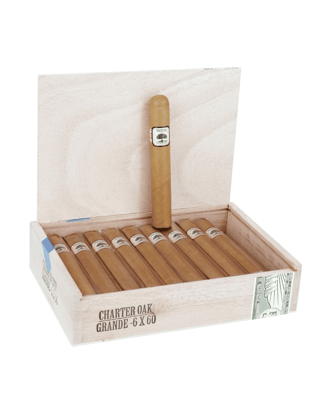 Open box of charter oak Connecticut shade grande cigars. one cigar out of cellophane wrapper and placed upright against open box lid